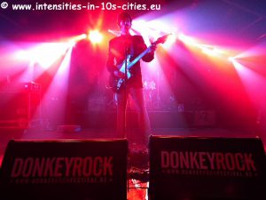 Customs_Donkey_2012_0018.JPG